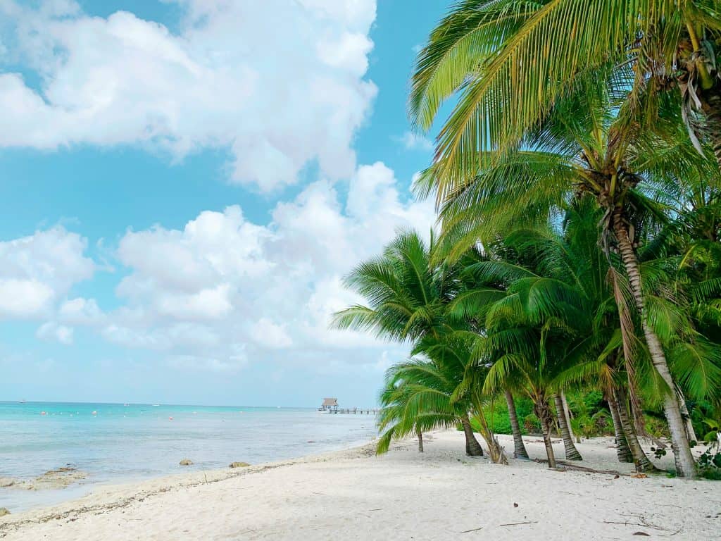 Beautiful tropical beach with palm trees and clear blue water in Aruba.